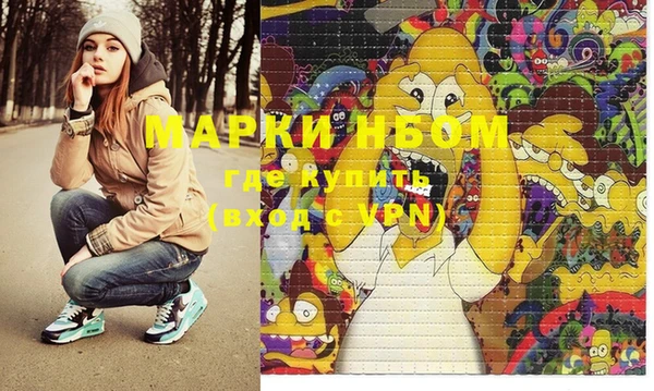 твердый Новозыбков