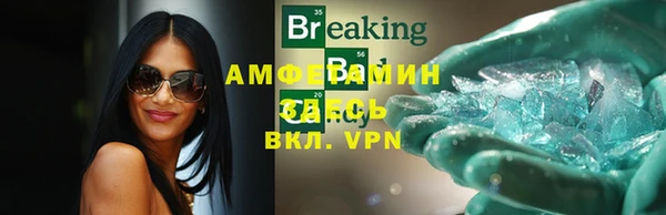 твердый Новозыбков