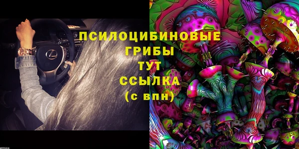 твердый Новозыбков
