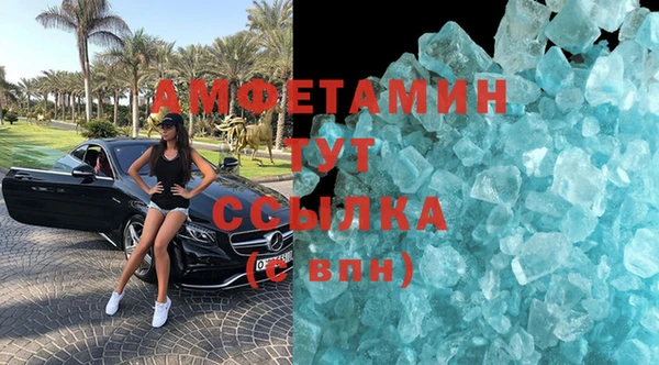 твердый Новозыбков