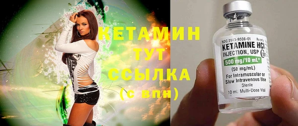 твердый Новозыбков